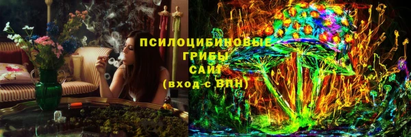 Альфа ПВП Верея