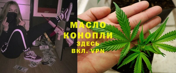 Альфа ПВП Верея