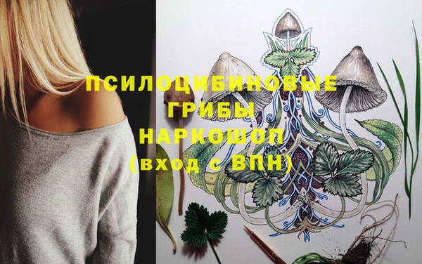 стаф Верхнеуральск