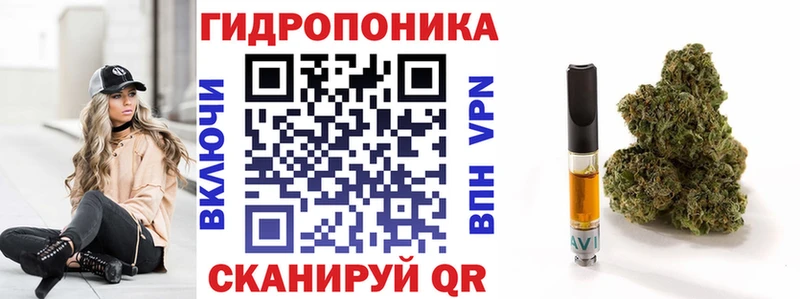 Бошки марихуана семена  что такое   Кострома 